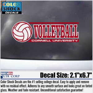 Decal - Volleyball - Outside