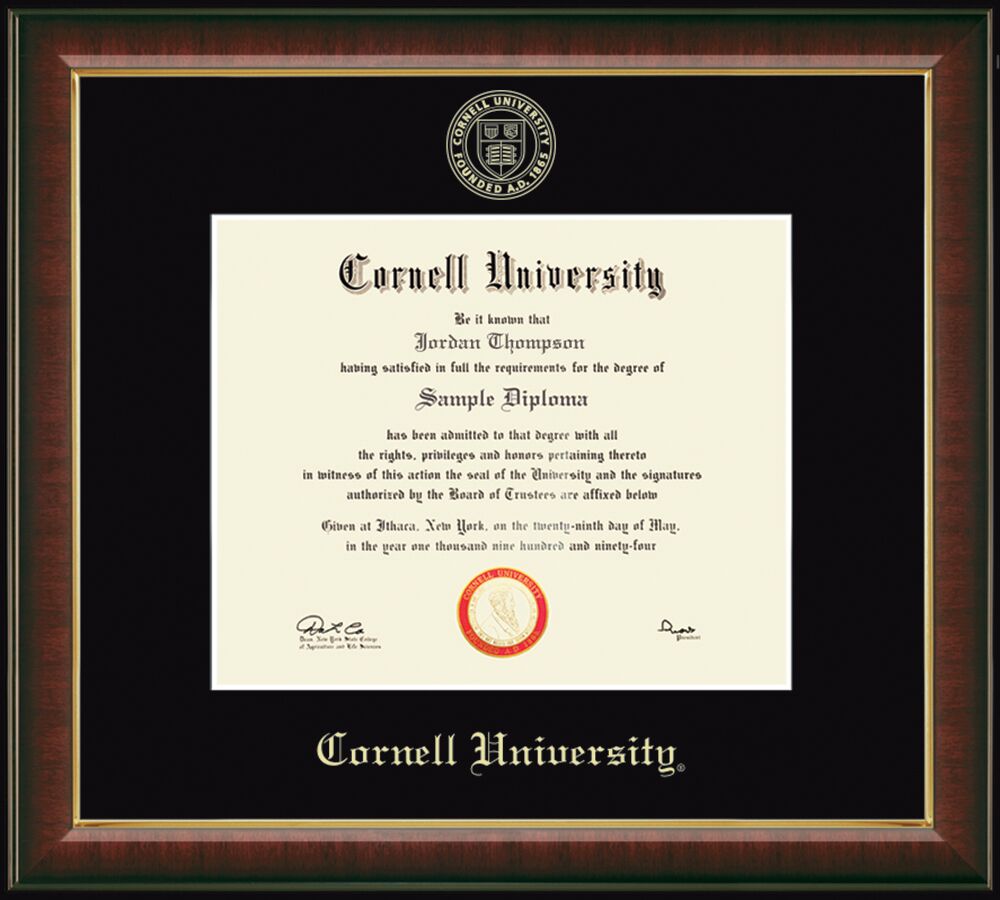 Embossed Murano Diploma Frame