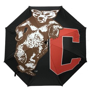Umbrella - Cornell Bear Leaning on C
