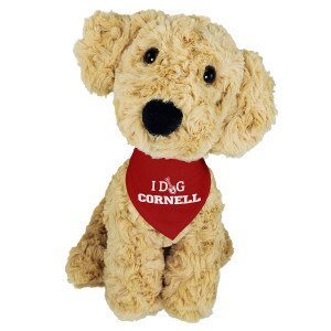 Golden Retriever Dog With Red Bandana "I Dig Cornell"