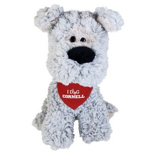Schnauzer Dog With Red Bandana "I Dig Cornell"