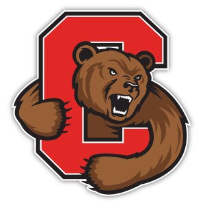 Bear Through C Car Magnet 5 X 5