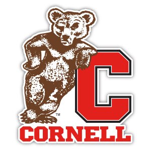 Bear Leaning On C Car Magnet