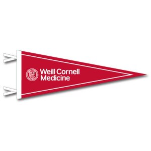 Weill Cornell Medicine With Seal Pennant 9 X 24