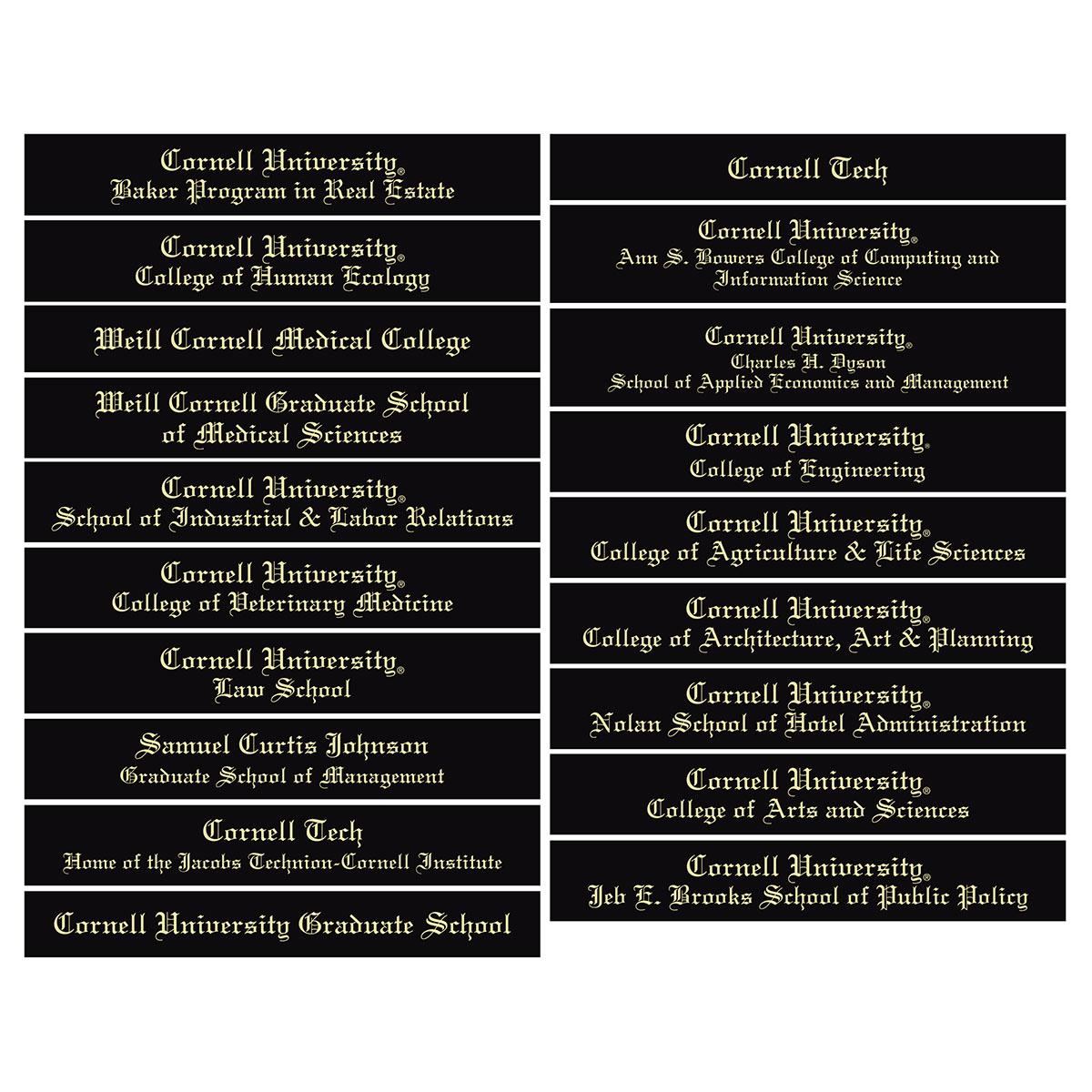 Custom School Campus Scene Embossed