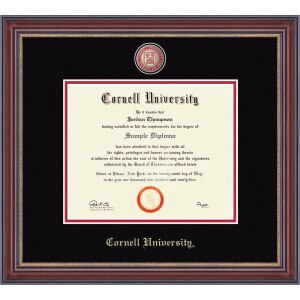 Custom School Enameled Medallion in Kensington Diploma Frame