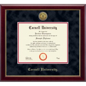 Custom School 23k Gallery Diploma Frame with Suede Mat
