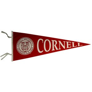 Pennant - Cornell Seal 18 X 48