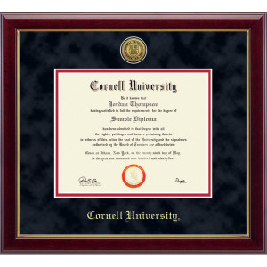 23K Diploma Frame In Gallery Moulding W/Suede Mat