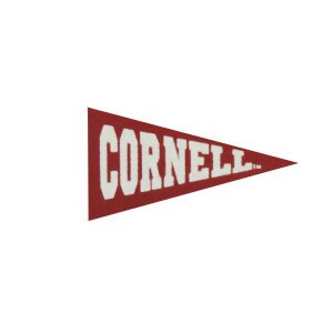 Pennant - Magnet