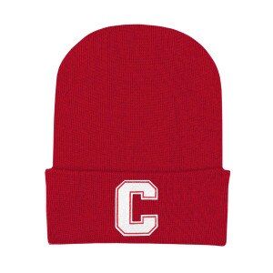 Newborn Knit Hat With C