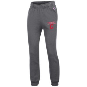 Youth Sweatpant Cornell Over C - Gray