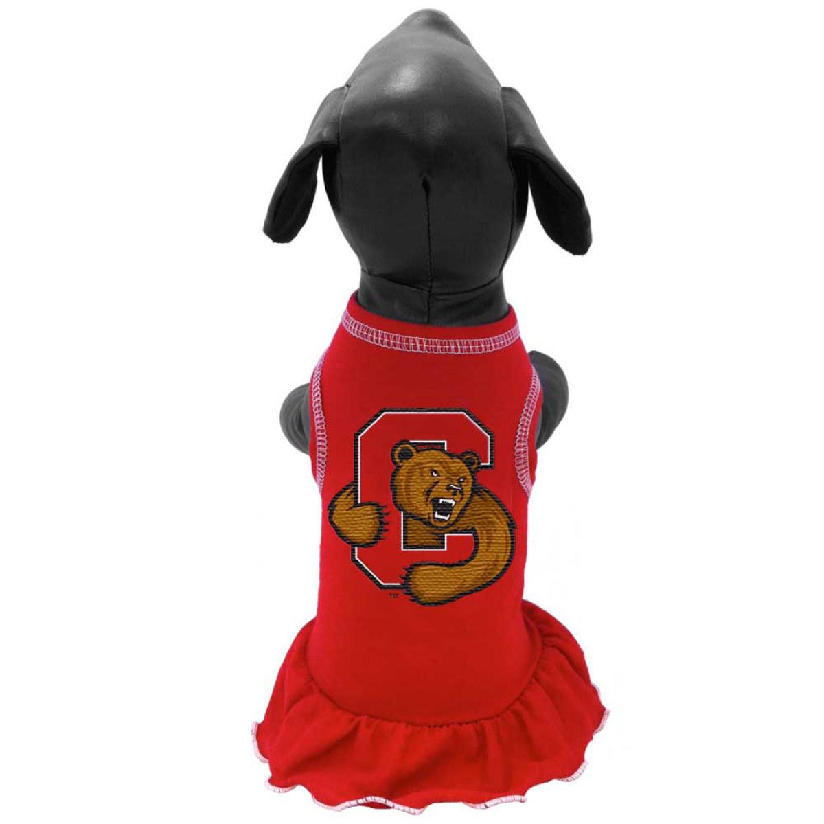 Big Red Cheerleader Dog Dress